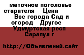 маточное поголовье старателя  › Цена ­ 3 700 - Все города Сад и огород » Другое   . Удмуртская респ.,Сарапул г.